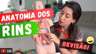 Anatomia dos RINS Revisão [upl. by Ytteb]