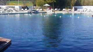 Le Terme di Saturnia la Sorgente il Parco e il Fiume prima che diventino le Cascate PreCovid19 [upl. by Marys740]