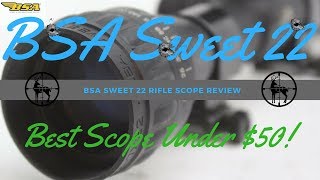 SAVAGE BMAG TARGET 17 WSM REVIEW [upl. by Nelly]