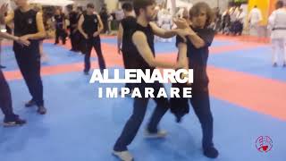 Giuncarossa wingtsun al Festival dellOriente [upl. by Aenyl]