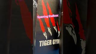 Thaibox sparring Tiger Gym Praha🇨🇿thaifighter muaythai thaiboxing sports [upl. by Slade105]