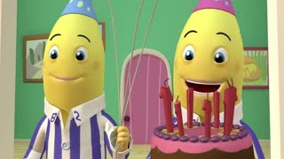 Party Time Compilation  Full Episodes  Bananas in Pyjamas Official [upl. by Essinger491]