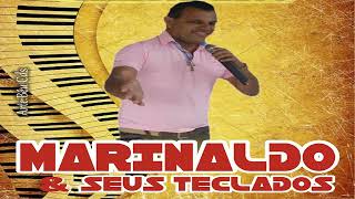 MARINALDO amp SEUS TECLADOS EM RITMO DE SERESTA [upl. by Bez]