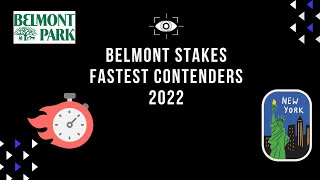 Belmont Stakes 2022 Fastest Contenders [upl. by Mcconaghy]