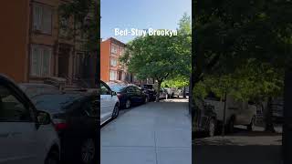 BedStuy Brooklyn June 2023 nyclife newyorkcity brooklyn [upl. by Mook]