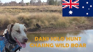 Pig Hunting Australia Dans solo run hunting wild boar [upl. by Onavlis]