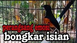 RANGSANGAN EMOSI CEPAT BONGKAR ISIAN [upl. by Erny]