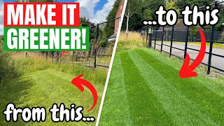 How to get a THICKER and GREENER LAWN  Its time to keep lawn care SIMPLE [upl. by Hulda]