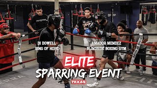 ELITE Private Sparring Event With TOP Amateur Boxers in Texas [upl. by Hortensia]