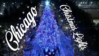 Chicago Christmas Lights [upl. by Aklog]