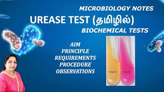 Urease test  Biochemical test for identifying bacteria Principle procedure observations  Tamil [upl. by Nniw511]