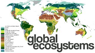 What are Global EcosystemsBiomes [upl. by Idarb58]