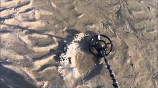 Whites TDI Pro Pulse Metal Detector at the BEACH [upl. by Morville535]