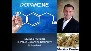 Mucuna Pruriens Does It Increase Dopamine Naturally [upl. by Athalla]