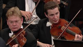 Beethoven Symphony no 5 in C Minor op 67  Christian Thielemann amp Wiener Philharmoniker [upl. by Karna]