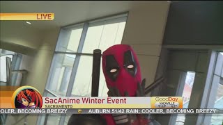 SacAnime Winter 2019 [upl. by Nylarad]