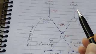 son bir hatırlatma partenogenez bugün bu soru çıktı [upl. by Zerla208]