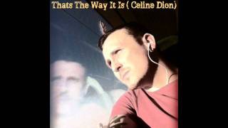 Thats The Way It Is  Celine Dion CMG Remix [upl. by Margarette197]