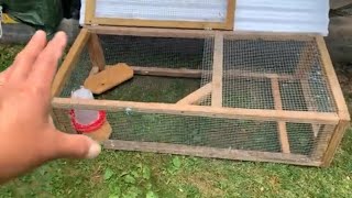 Quail cage  modified DIY [upl. by Camella397]