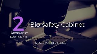 Biosafety Level 3 Lab Entry [upl. by Asined]