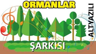 ORMANLAR ŞARKISI Tohumlar Fidana [upl. by Ardnued]