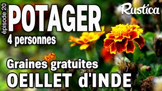 Potager pour 4 Personnes – 20 récolter les graines d’oeillet dinde [upl. by Eedna]