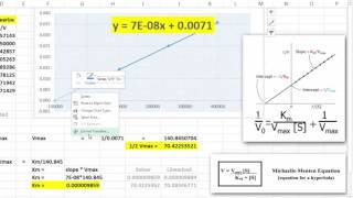 LineweaverBurke Plots in Excel [upl. by Adnirolc807]