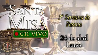 🔴 Rosario y Santa Misa  Martes 25 de abril⚜️ Heraldos del Evangelio [upl. by Aretta483]