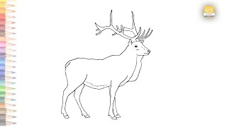 Wapiti drawing easy  How to draw Wapiti  Elk drawing step by step  Wild animal drawing tutorials [upl. by Rabka481]