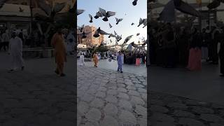 Kahn Main Kahan yah Madine Ki Galiyanislamicvideo youtube channel shortsvirlevideo [upl. by Akeit244]