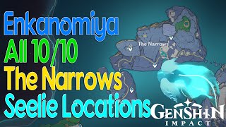 Enkanomia All 1010 The Narrows Seelie Locations  Genshin Impact [upl. by Goebel]