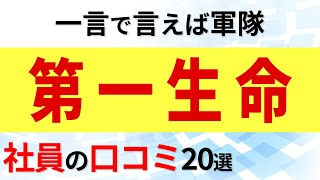 第一生命 社員の口コミ20選 [upl. by Aidaas]