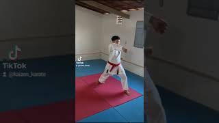 Gedan Barai  Uchi uke  Age uke  Soto uke  Gyaku mawashi Zuki 🥋 karate shotokan funakoshi [upl. by Subocaj]