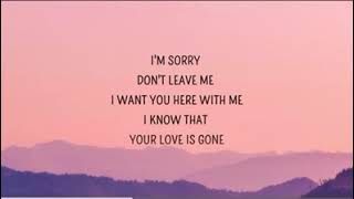 I am sorry don’t leave me Lyrics🙃SURAZMALLA😉 [upl. by Anibla]