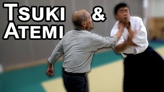 DAITO RYU Atemi amp Tsuki  CHIBA Tsugutaka Shikoku Hombu [upl. by Manolo]