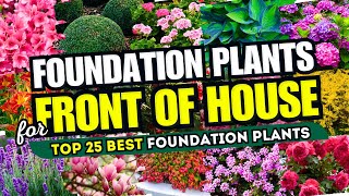 🏡 25 Best FOUNDATION PLANTS for Front of House 😍✨ FRONT YARD FABULOUSNESS 😱 [upl. by Karalynn]