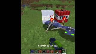 Minecraft Tnt Vs Villager 796 Short [upl. by Schiro]