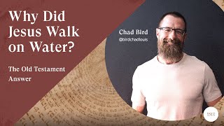 Why Did Jesus Walk on Water The Old Testament Answer [upl. by Ettenwad952]