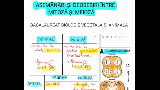 ASEMANARI SI DEOSEBIRI INTRE MITOZA SI MEIOZA  BACALAUREAT BIOLOGIE VEGETALA [upl. by Hanej897]