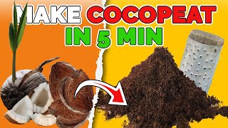 How To Make COCOPEAT At Home And Fast [upl. by Rhys184]