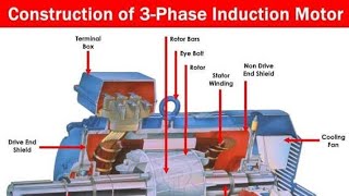 Three Phase Motor Connection Diagram and Wiring Procedure [upl. by Nylhsa]