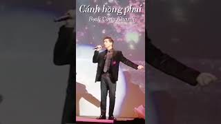 Bản live CÁNH HỒNG PHAI hay nhất mà Ad từng nghe🧑‍🎤👏💐❤️Bạch Công Khanh  08062024 [upl. by Sathrum797]