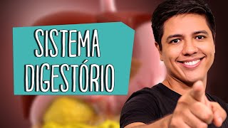 SISTEMA DIGESTÓRIO  Anatomia e Fisiologia  Prof Kennedy Ramos [upl. by Naot771]