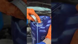 Fresh oil for the old diesel mechanic repair car classiccar diesel mercedes oil [upl. by Garner]