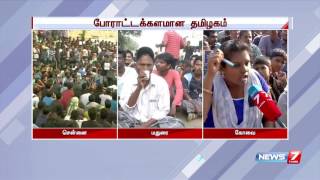 Dont consider this as a simple protest  Jallikattu supporter at Coimbatore  News7 Tamil [upl. by Ozen]