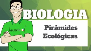 Biologia  Ecologia Pirâmides Ecológicas [upl. by Eisnyl840]