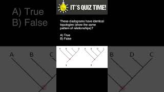 Cladograms topology explained [upl. by Sluiter929]