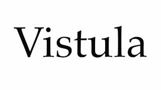 How to Pronounce Vistula [upl. by Ariamo]