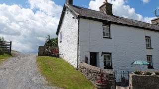 Cosy pet friendly cottage holiday in Mid Wales [upl. by Nanaj]