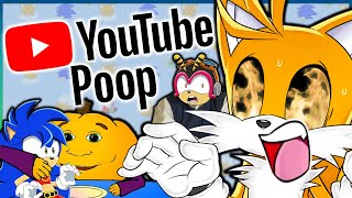 YTP Tails Googles a Toothpick Tails And Sonic Pals [upl. by Elletsyrc]